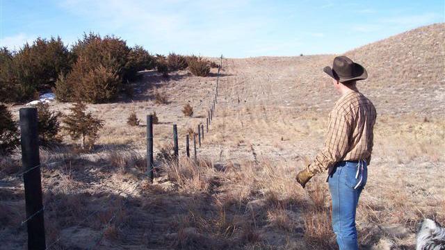 Be Prepared: Having a plan before a fence project can spare headaches later